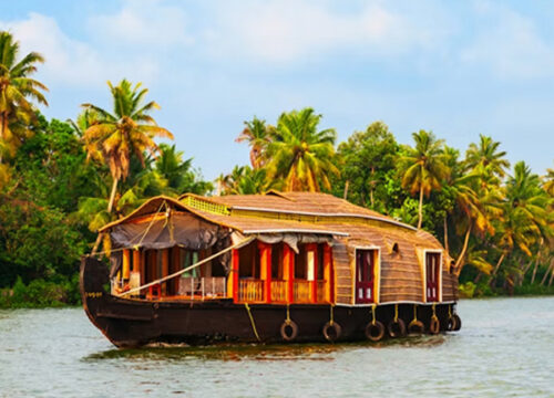 Discover Kerala